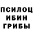 Псилоцибиновые грибы Magic Shrooms Polynesian Grooves