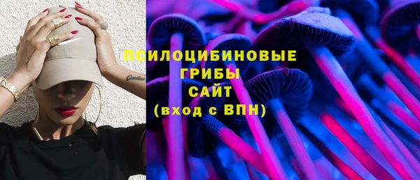 МДПВ Алексин
