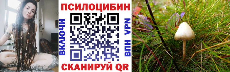 darknet формула  продажа наркотиков  Нижняя Салда  Псилоцибиновые грибы Cubensis 